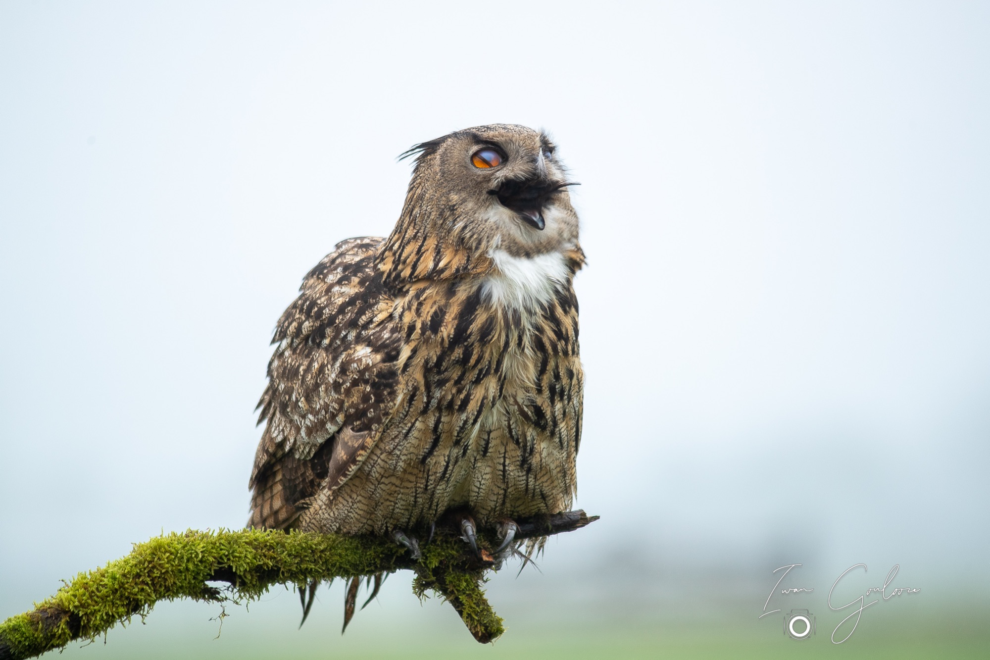 1DX46707 12 december 2021 1413 39